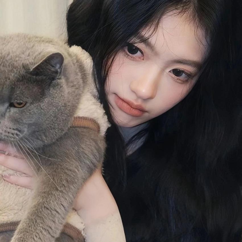 小乔不乔