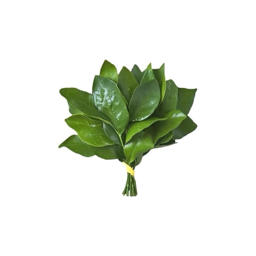 泡泡不吐泡泡🫧
