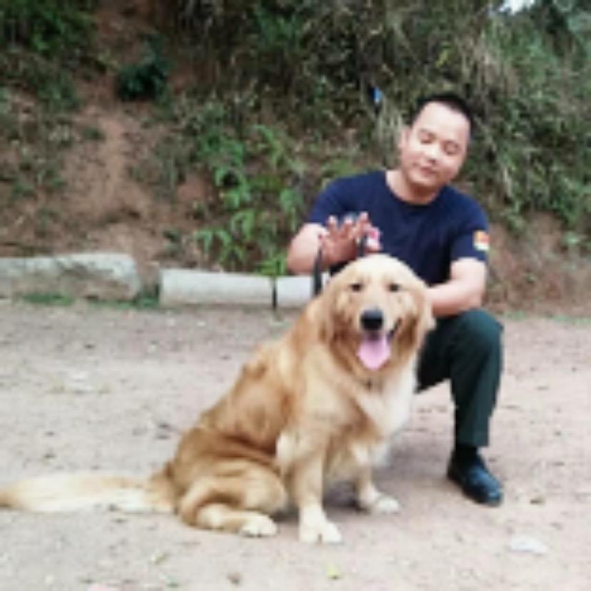 广东猛哥有情义