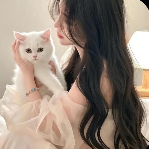 洛伊伊