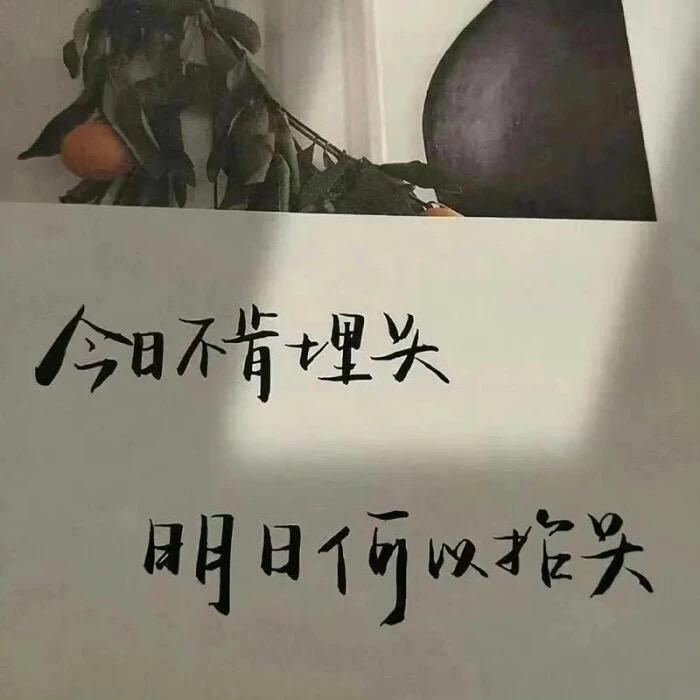 不上岸不改名字