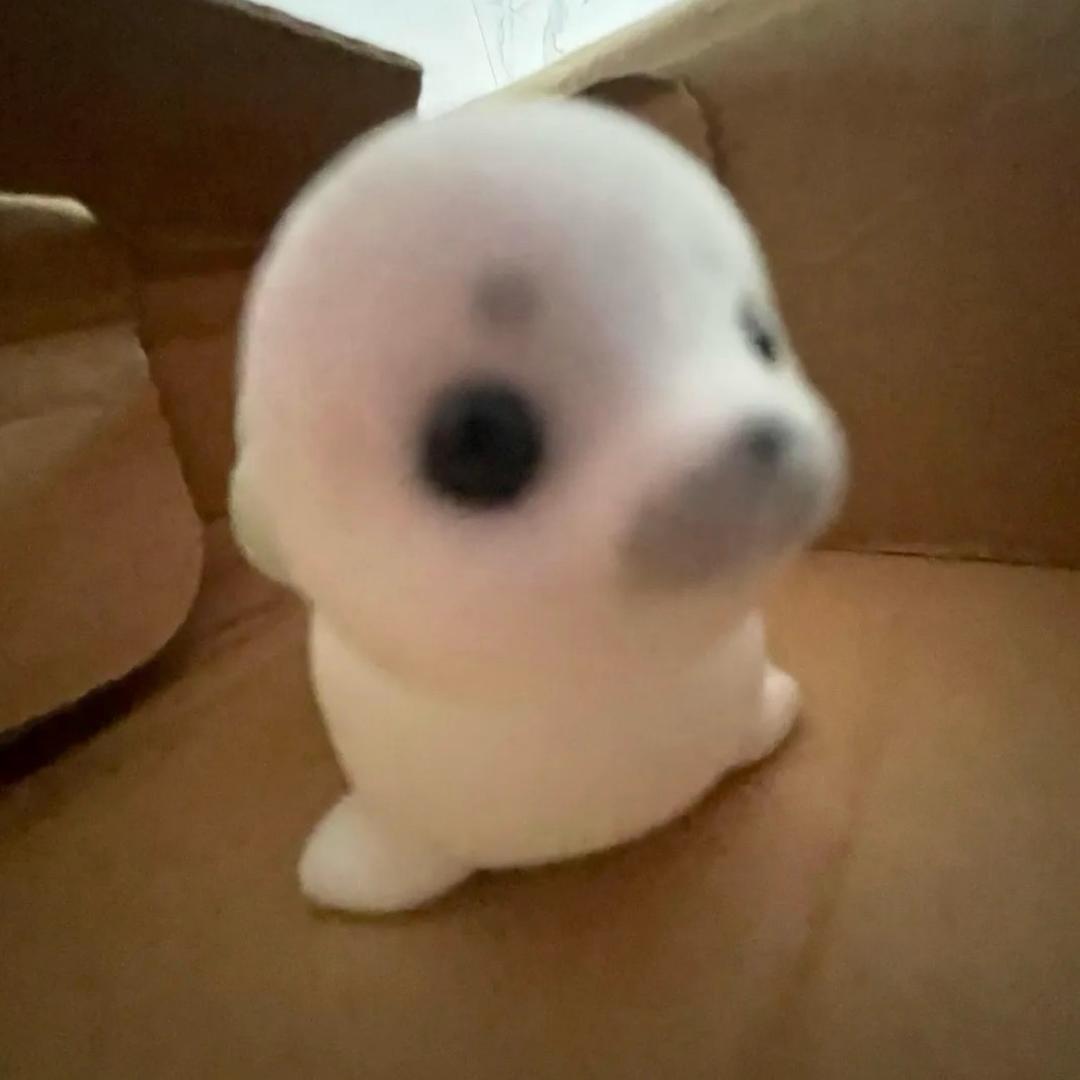 面包烤成焦焦的