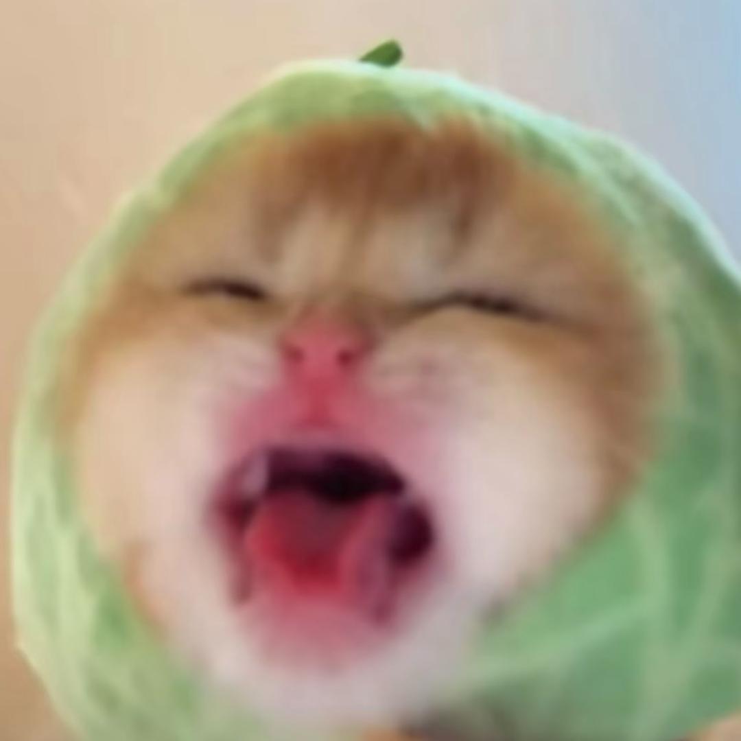 魏超红_