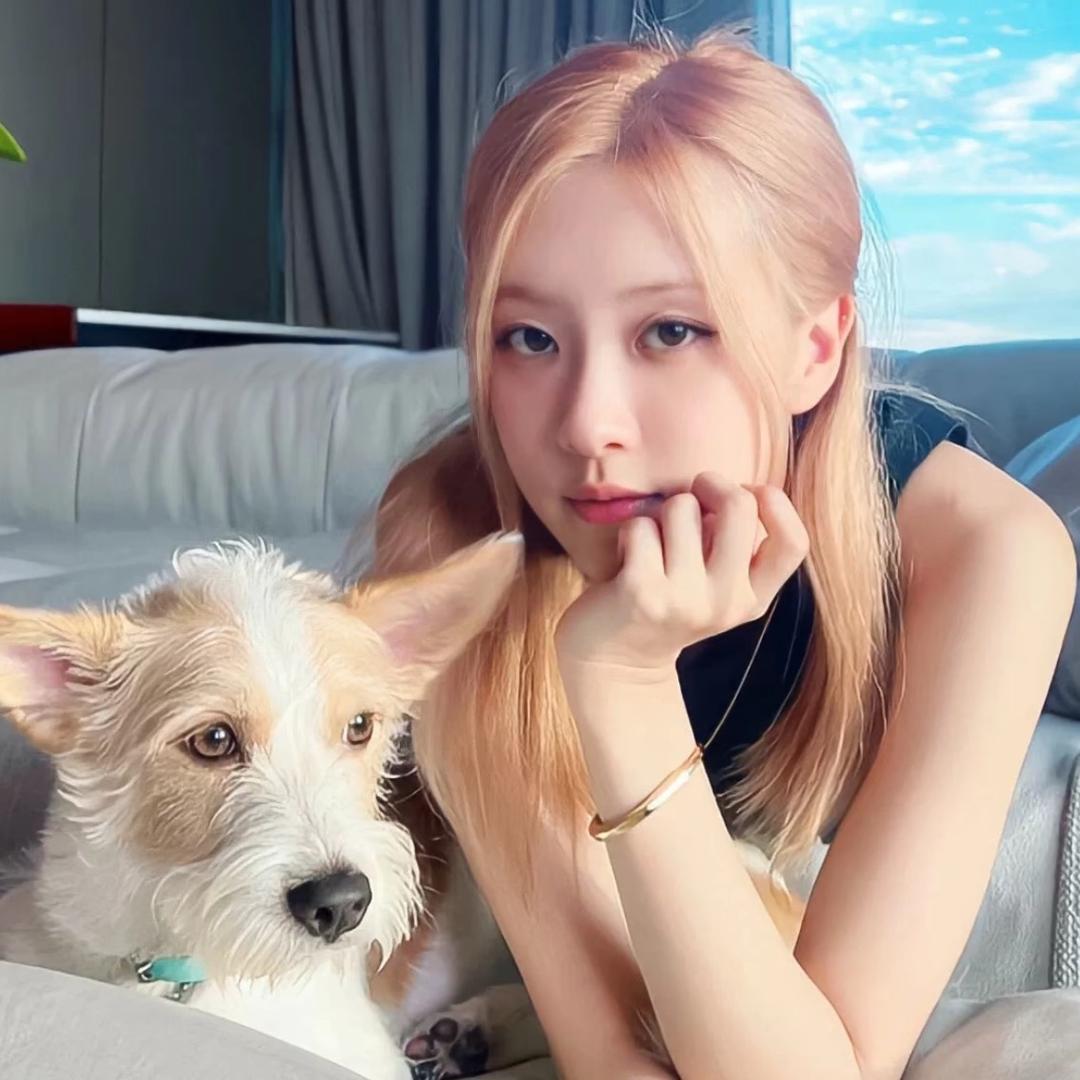 一米八的香菜叶、、