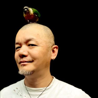 画家赵青