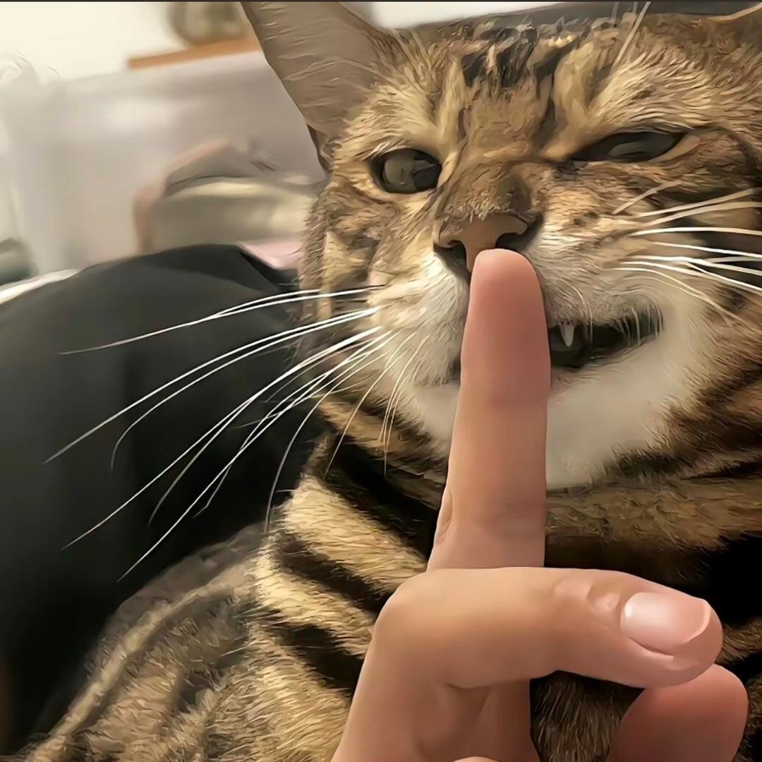 阿旭.