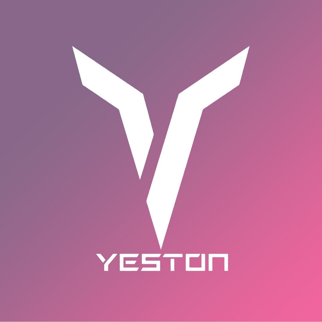 yeston盈通官方旗舰店