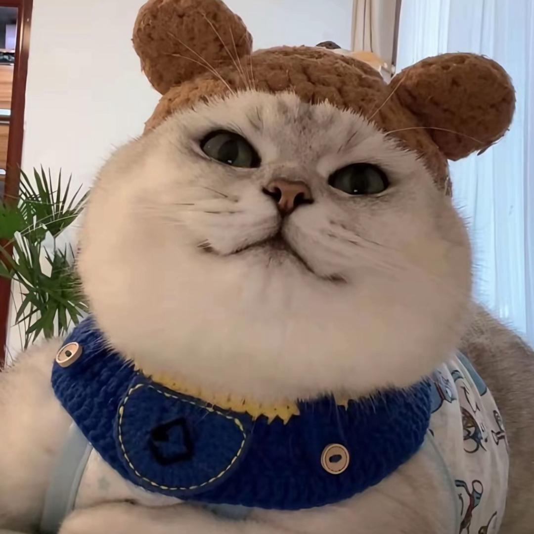 小成哇-
