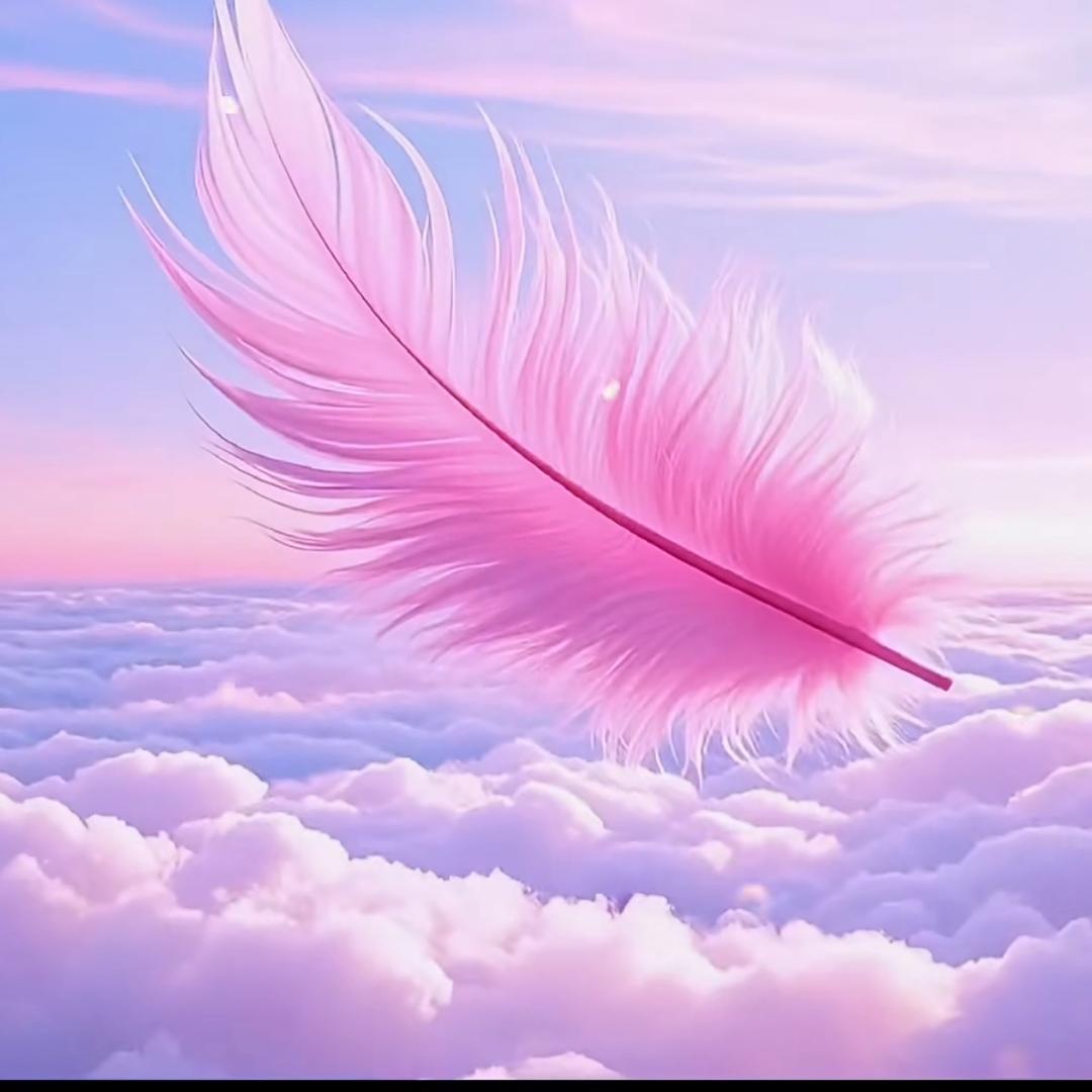 餐饮人（肖肖）