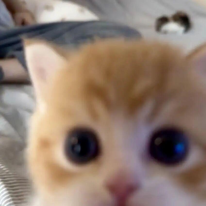 下雪会想起我吗