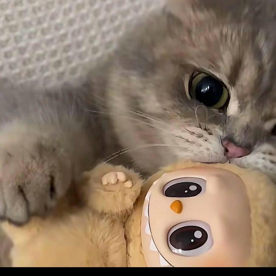 露露在柬埔寨🌈