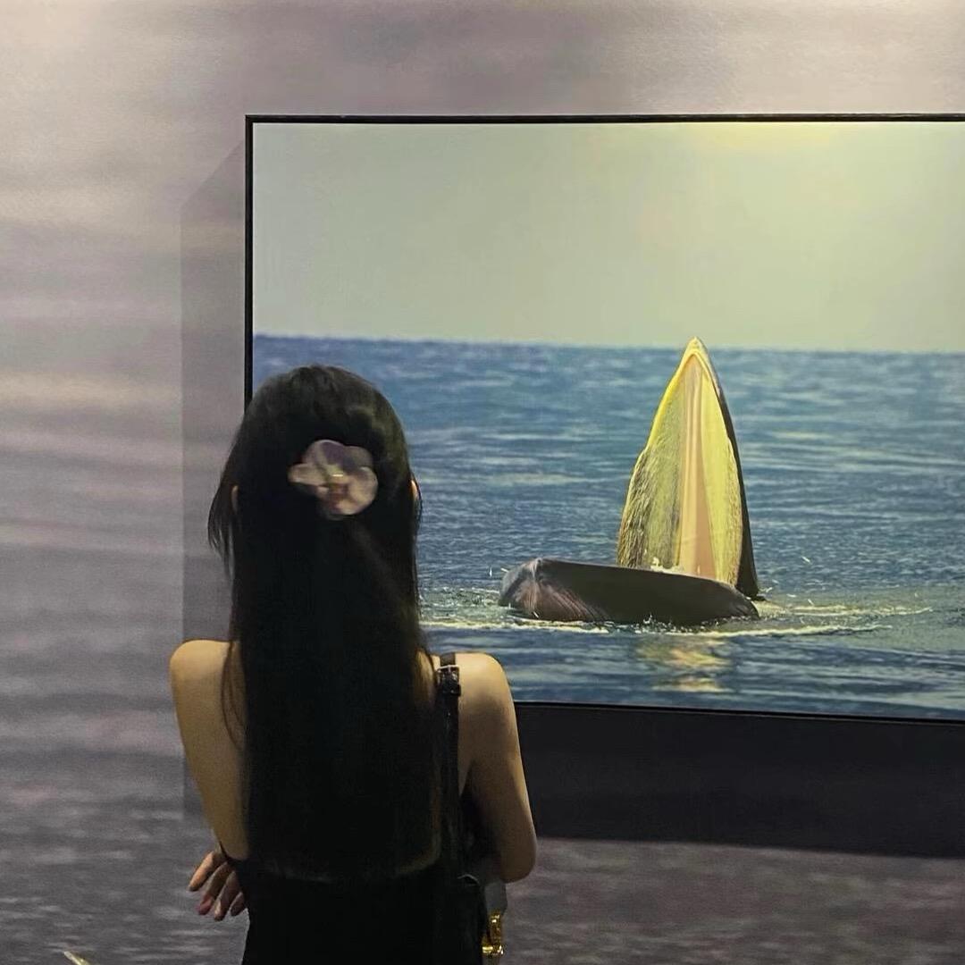 画¹个美女