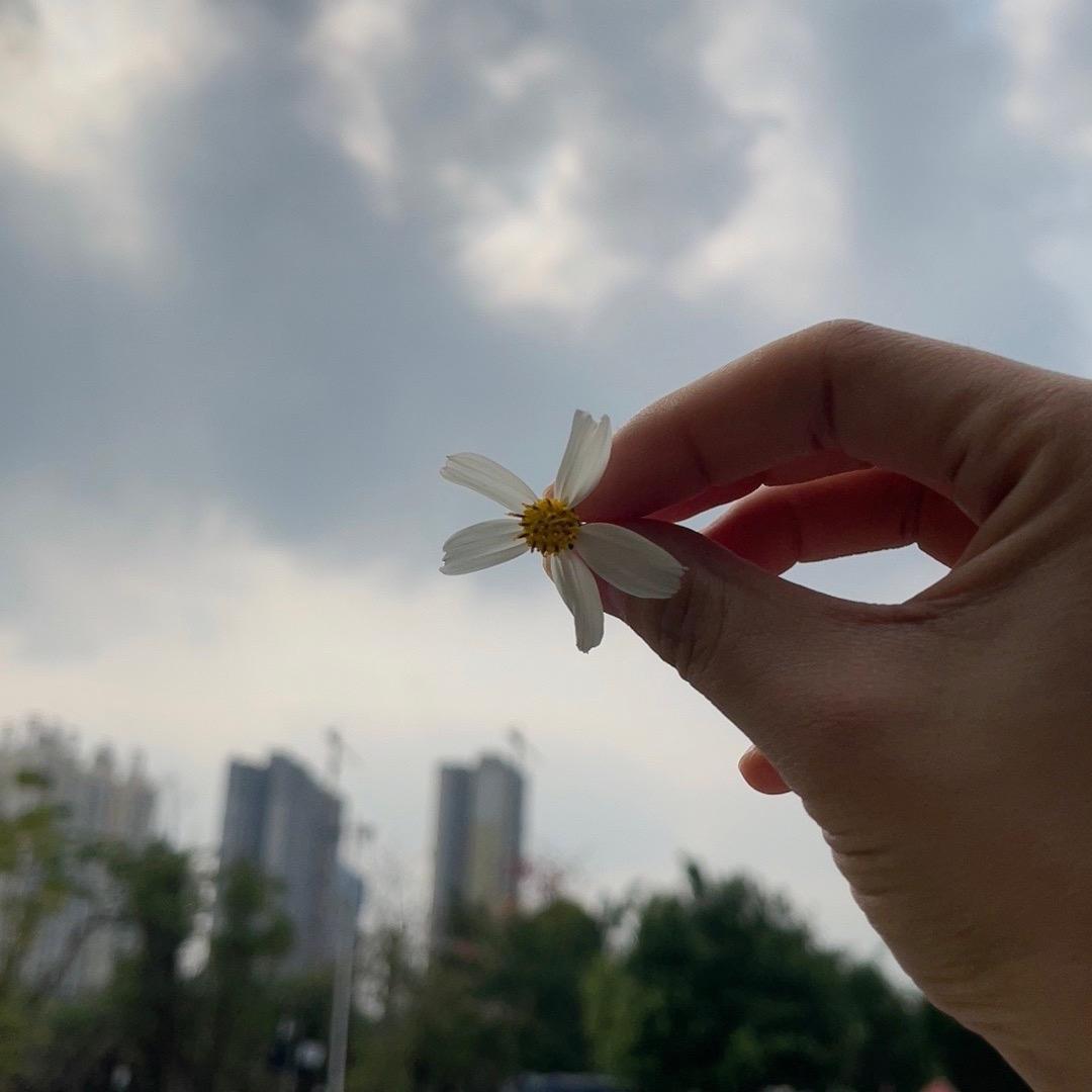洲妈追剧