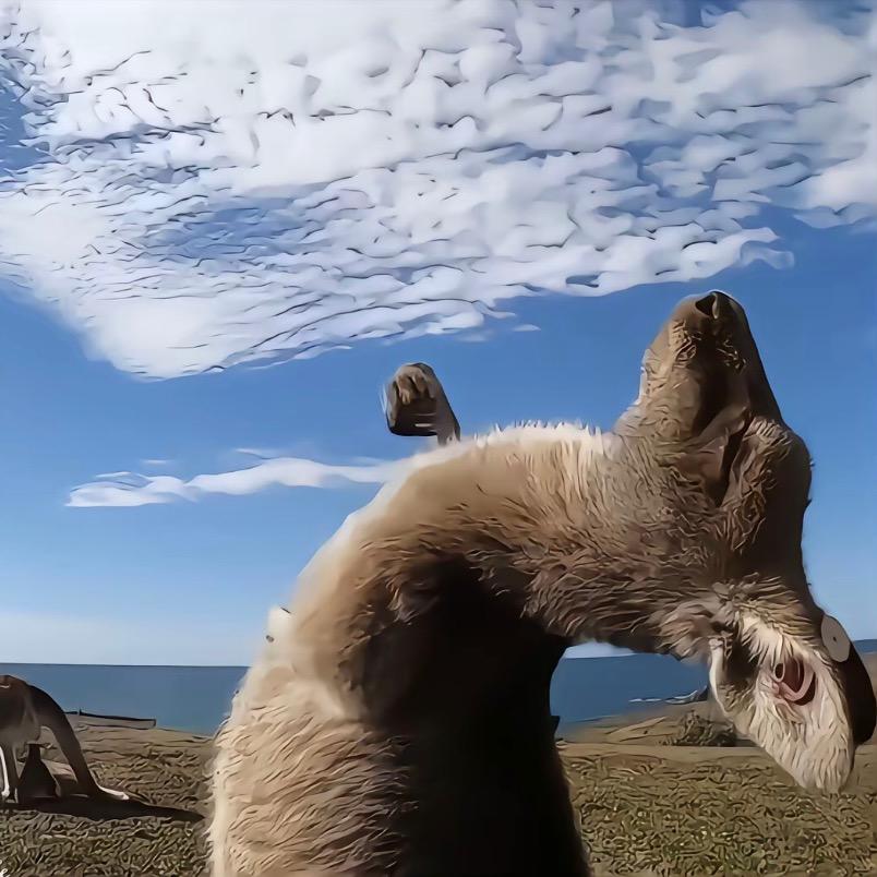 风景旧曾谙