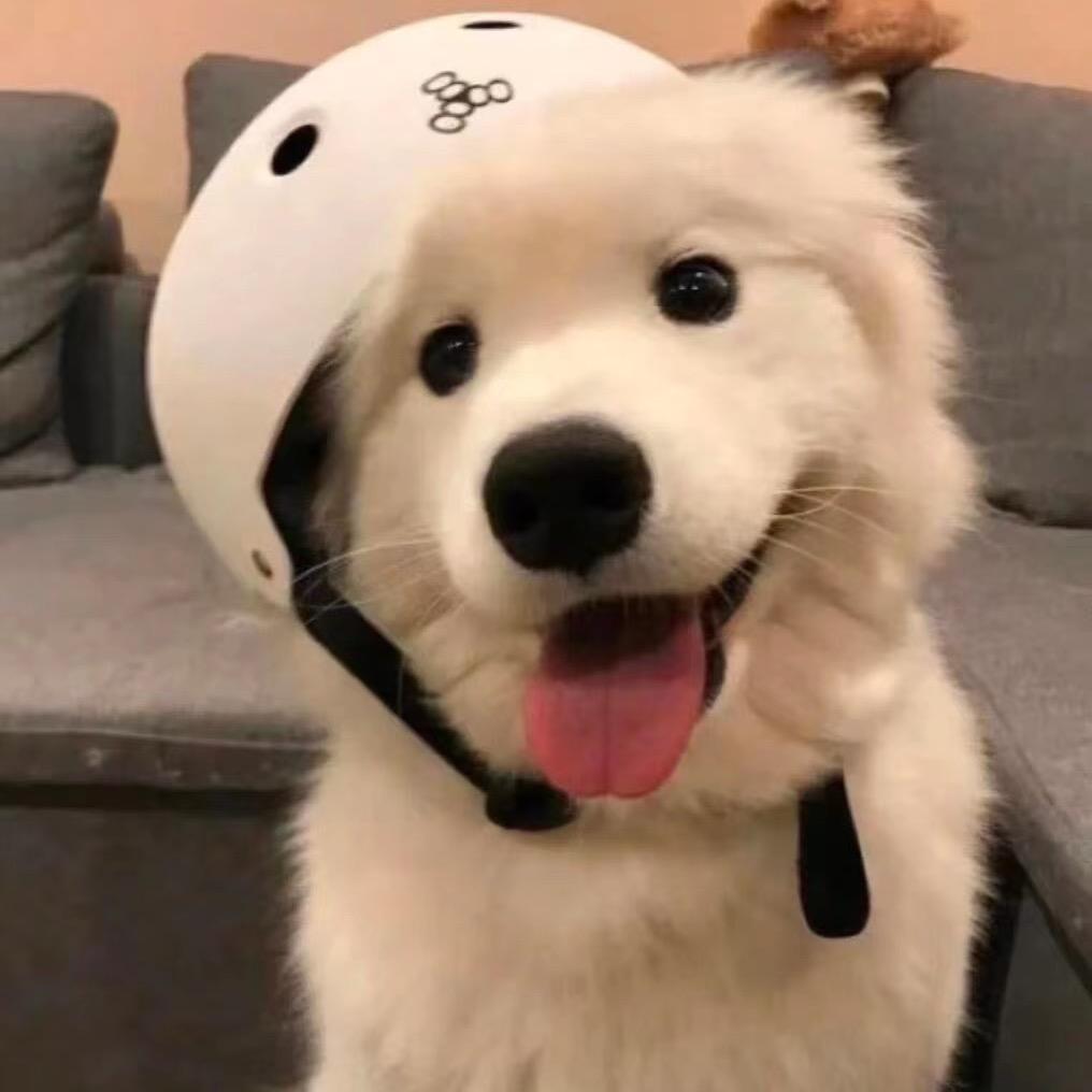 彭于晏🙉