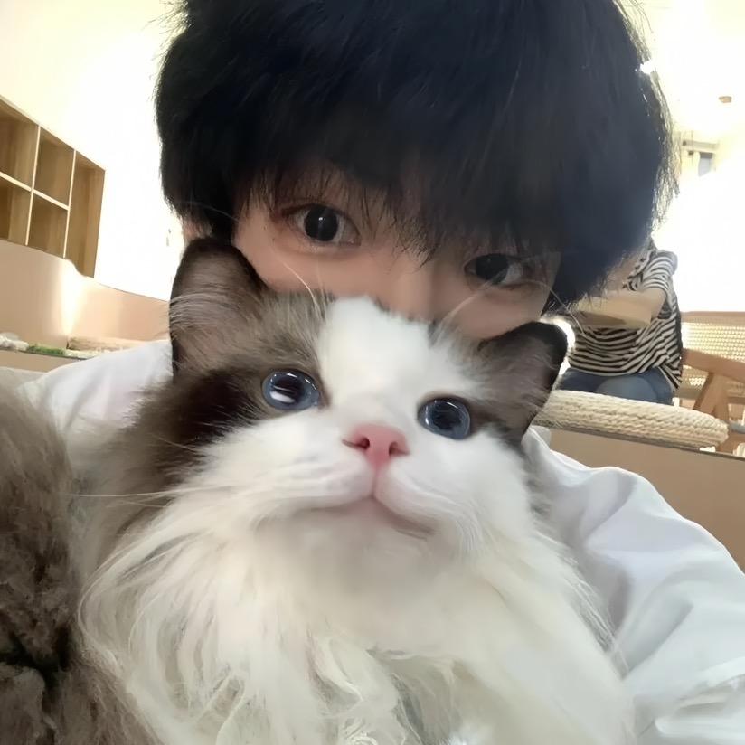 早睡会没烦恼