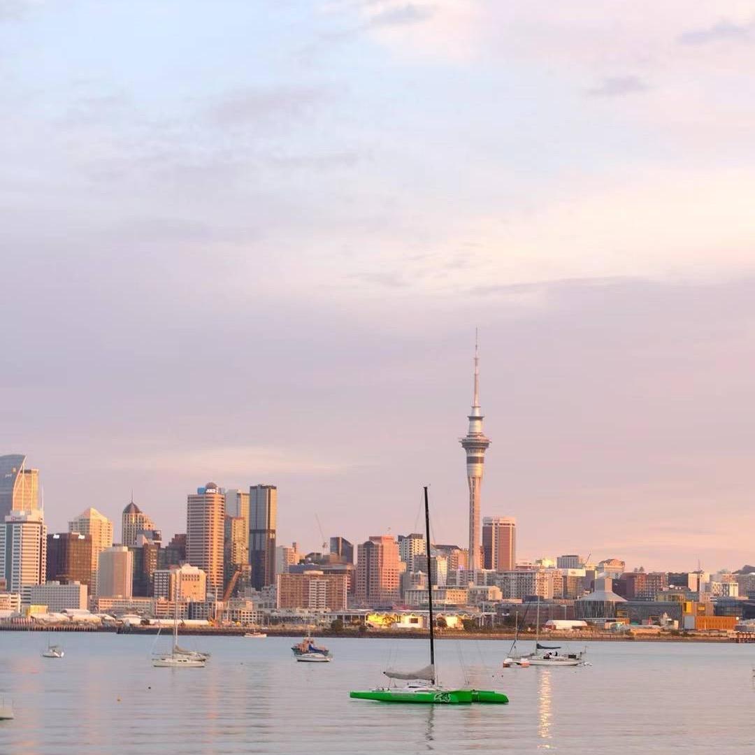 Fiona 新西兰🇳🇿的漫游时光