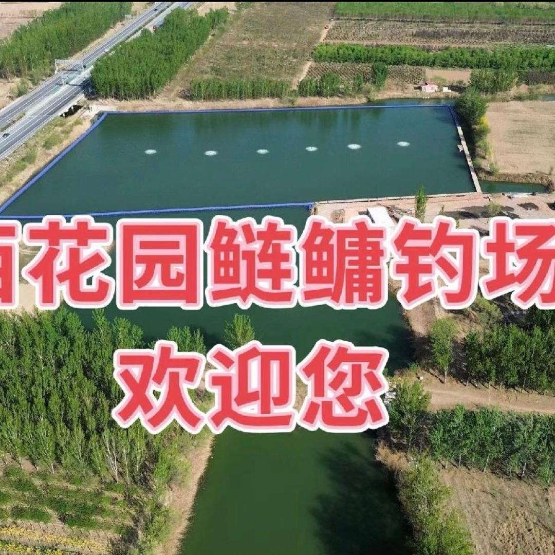 鲢鳙钓场