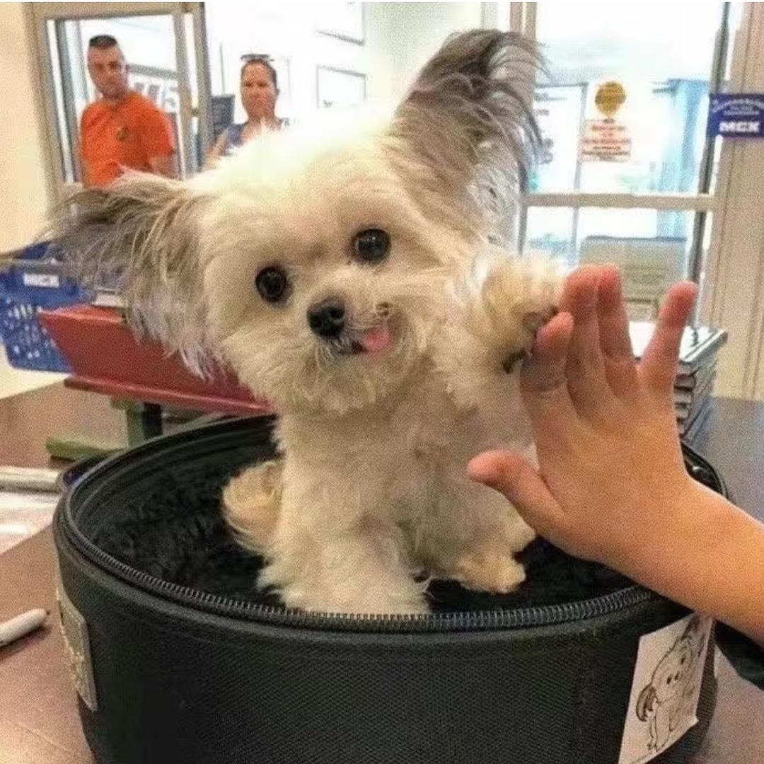 落