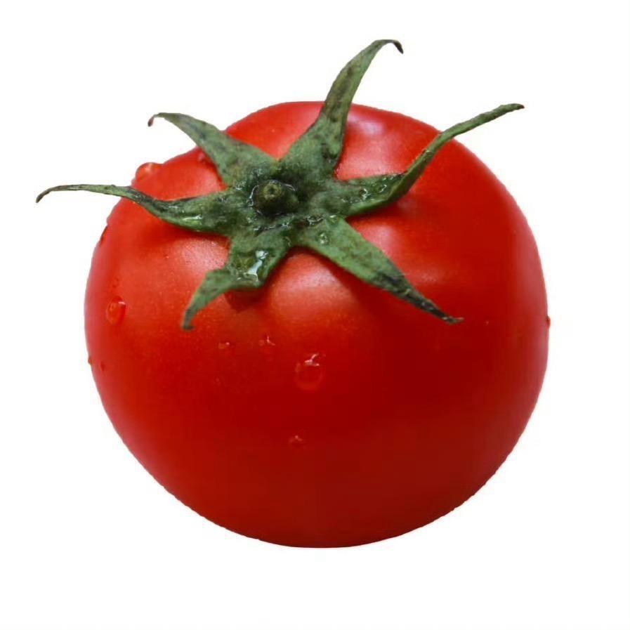 我爱吃西红柿🍅