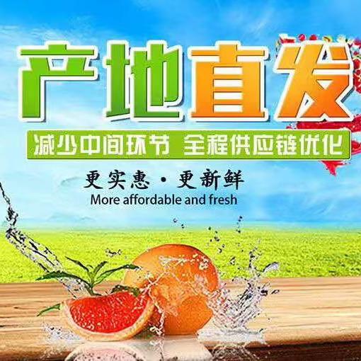 晏鸣的果园