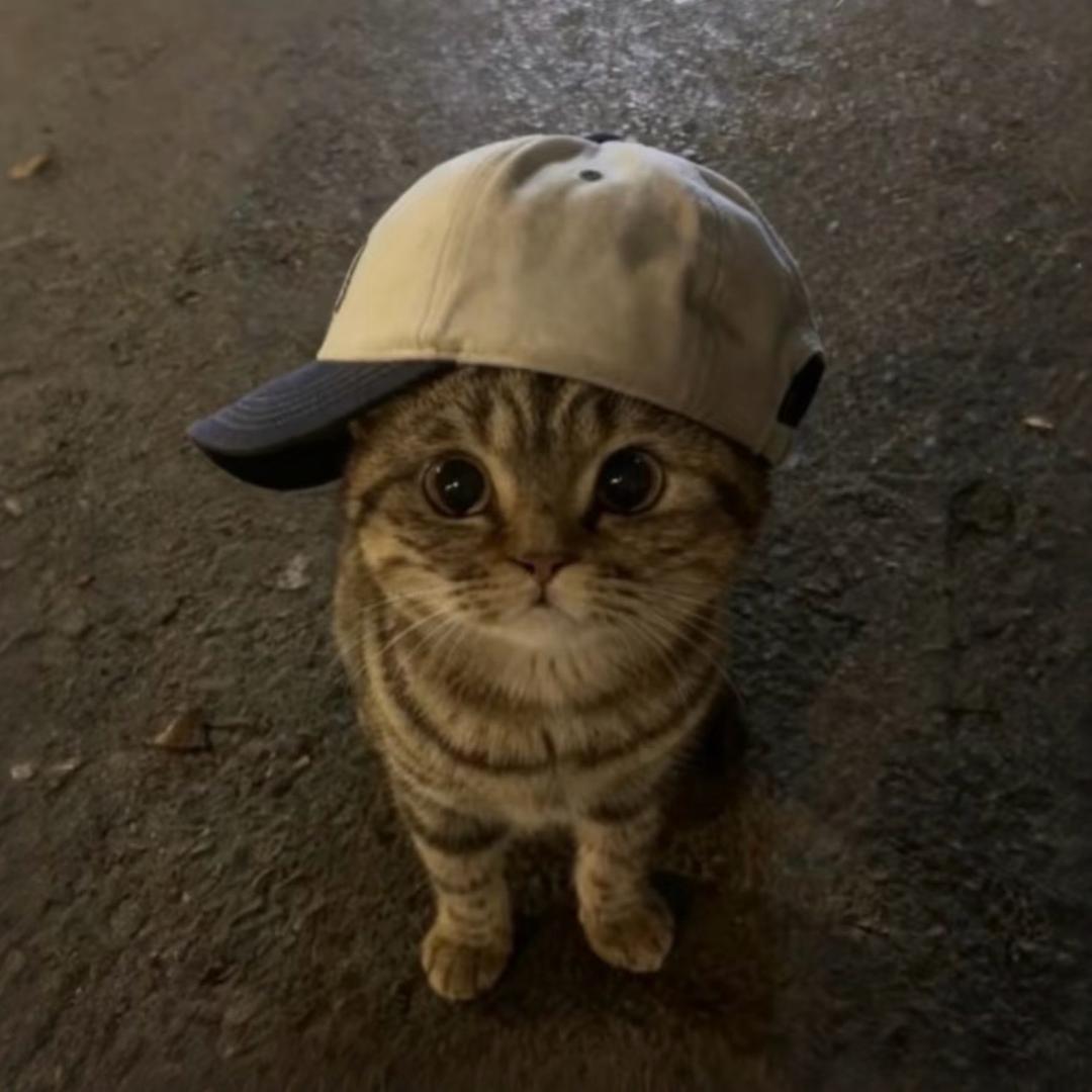 柒