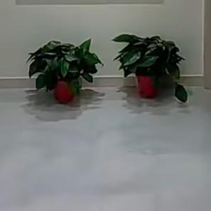 晨光