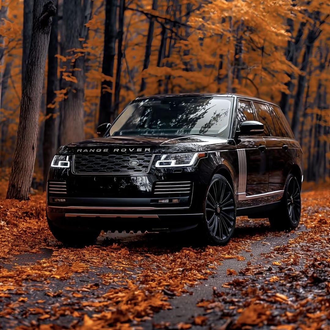 贵州驰龙名车（亲家母）