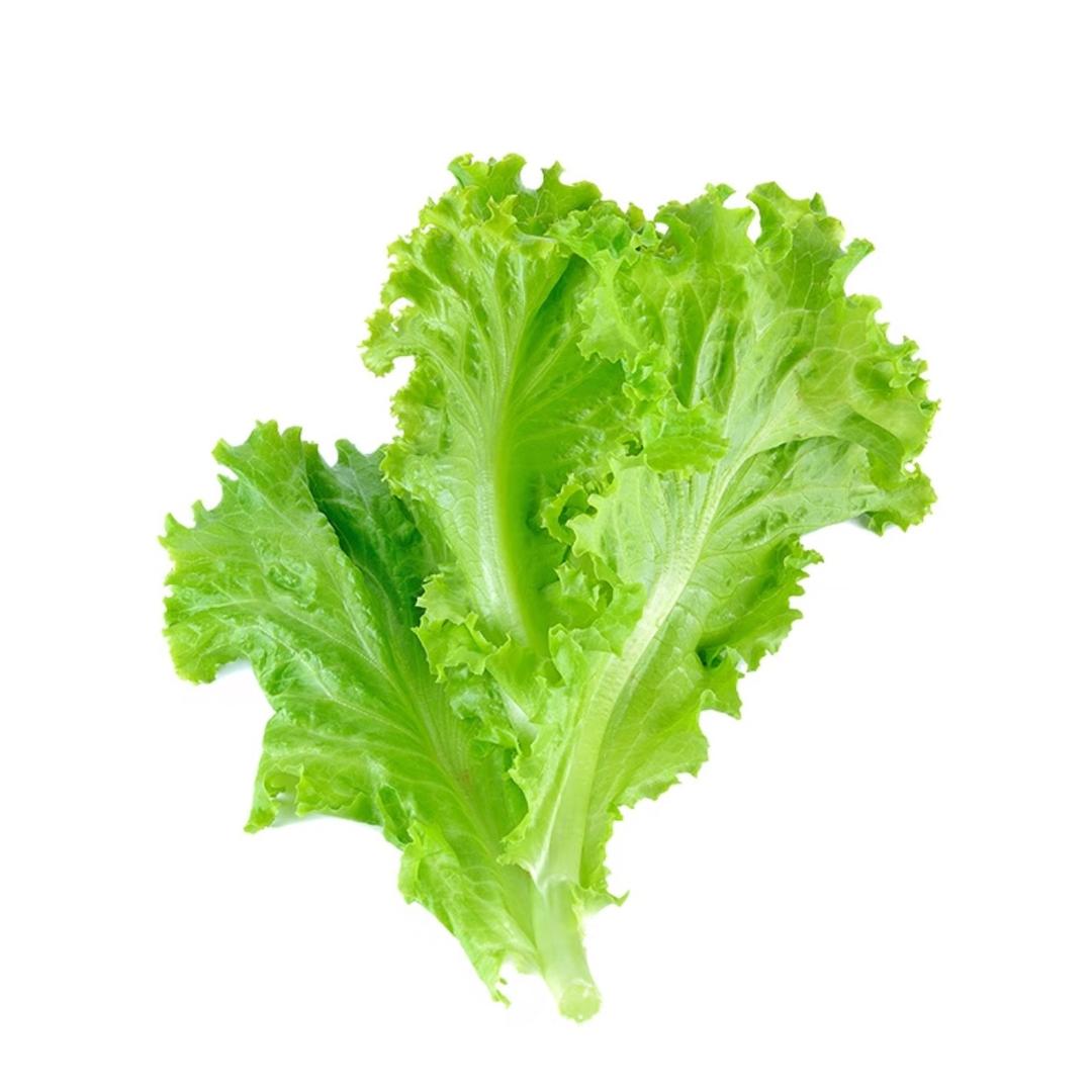 奶味刀