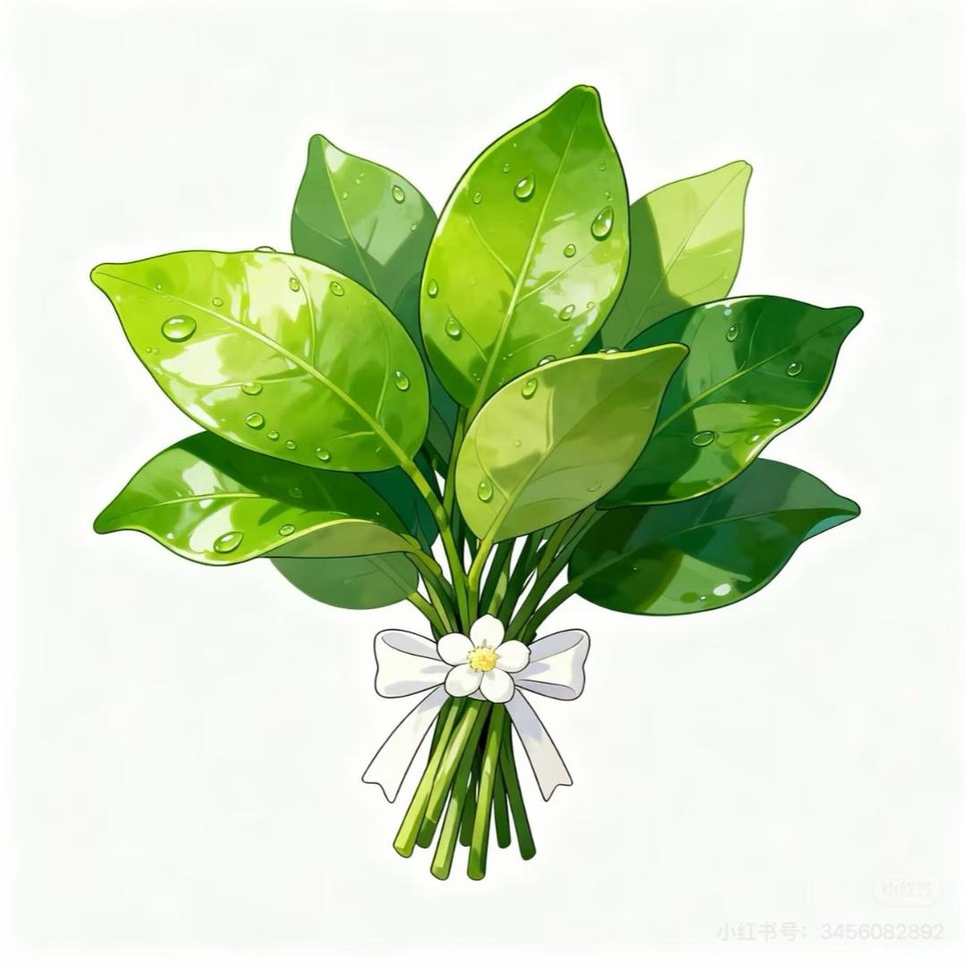 {Fu 强 ｝水产🦐主理人