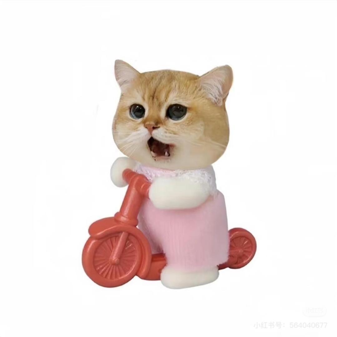 666