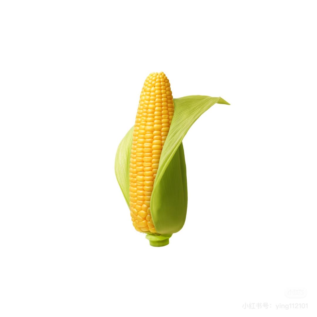 日入万万声