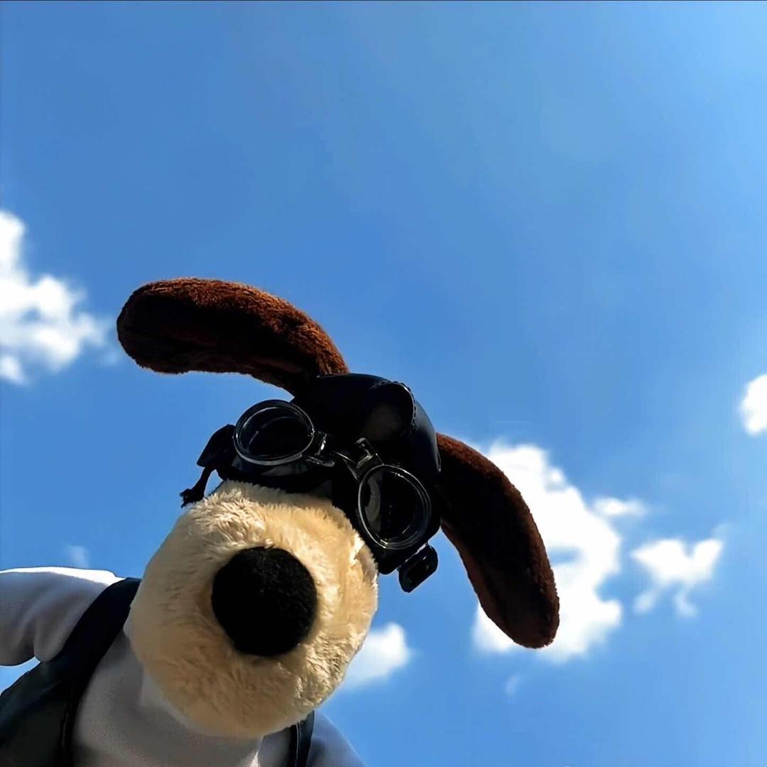 Gys