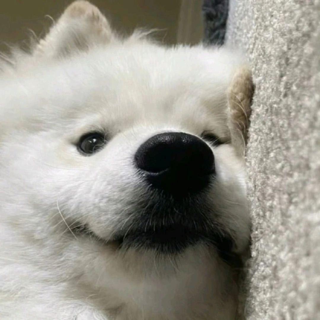 电签-