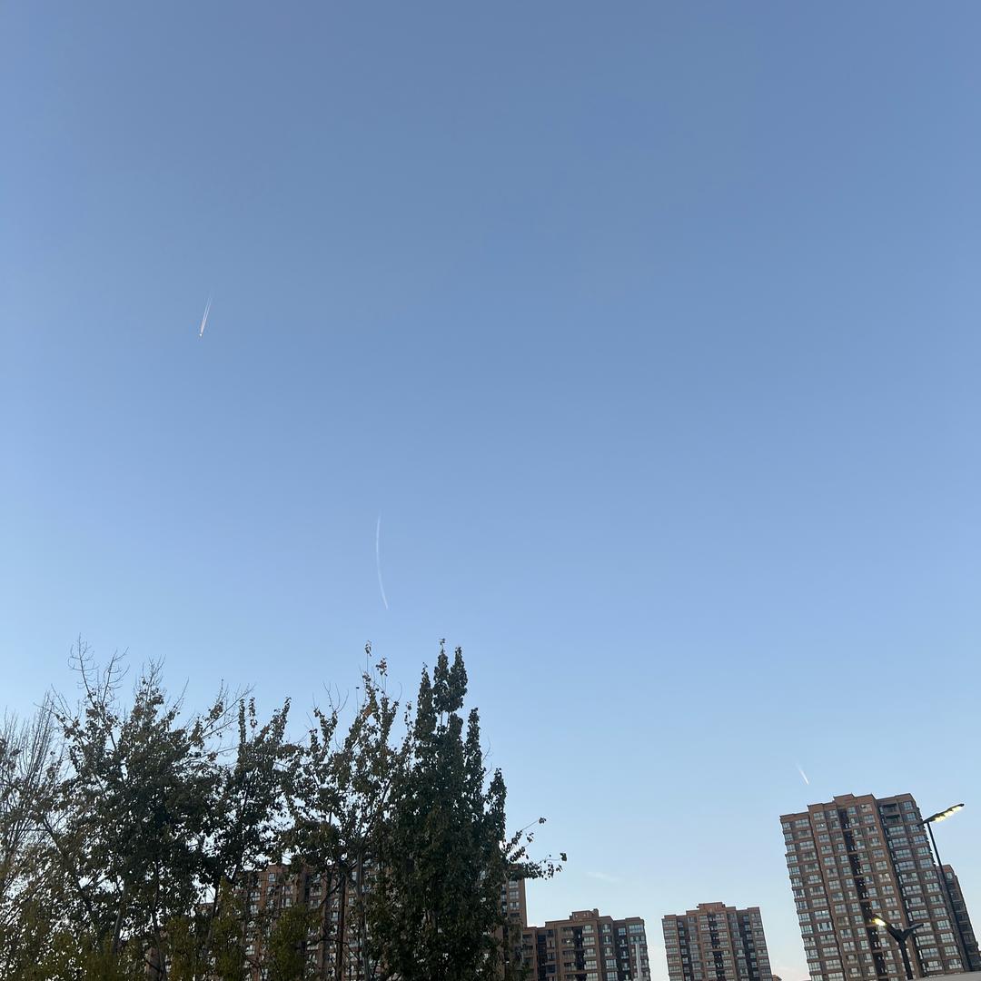 小可可