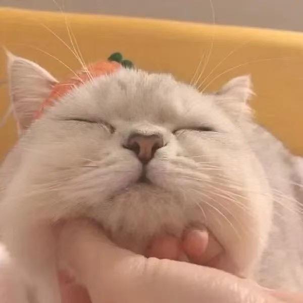 早点睡♡⁸