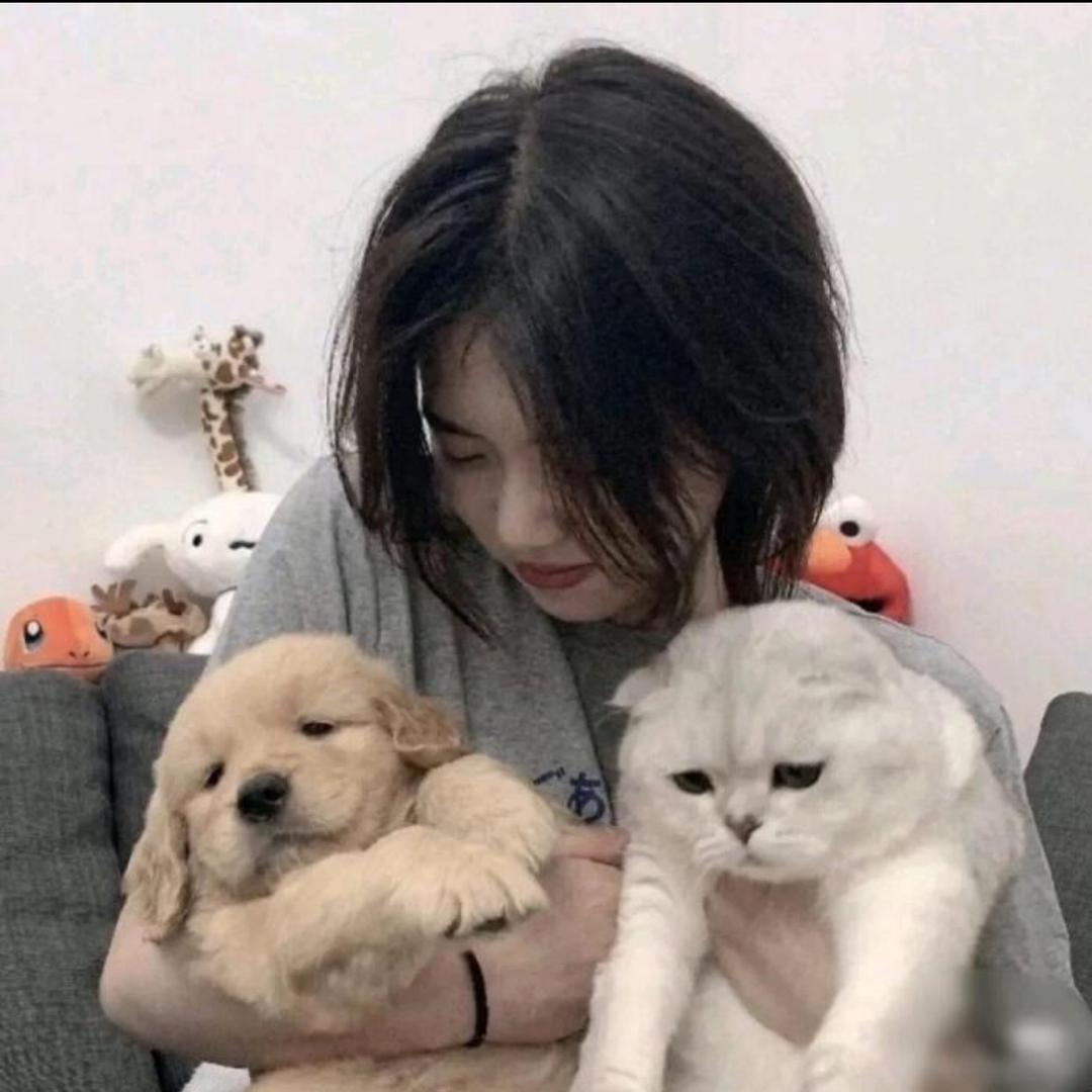 吴所胃