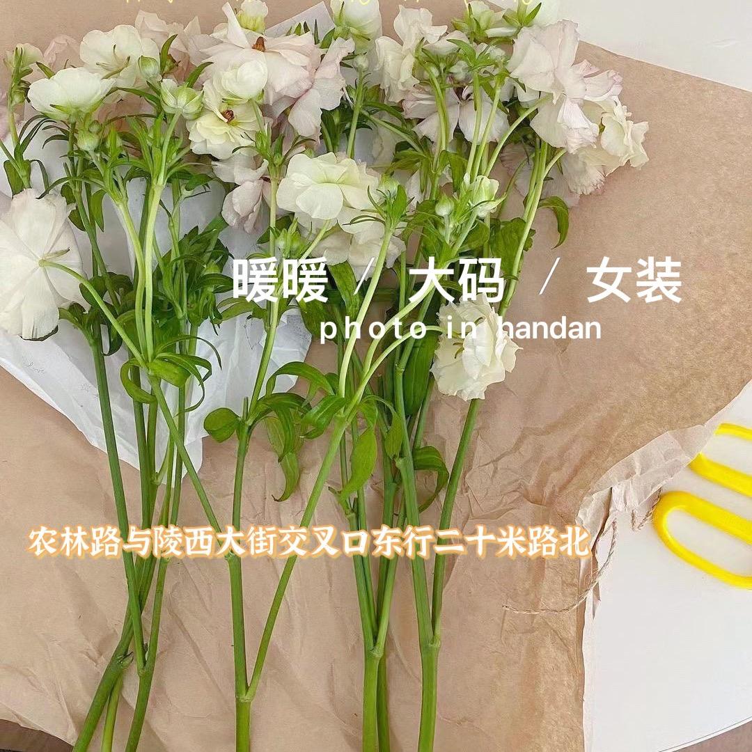 暖暖nuan全码女装