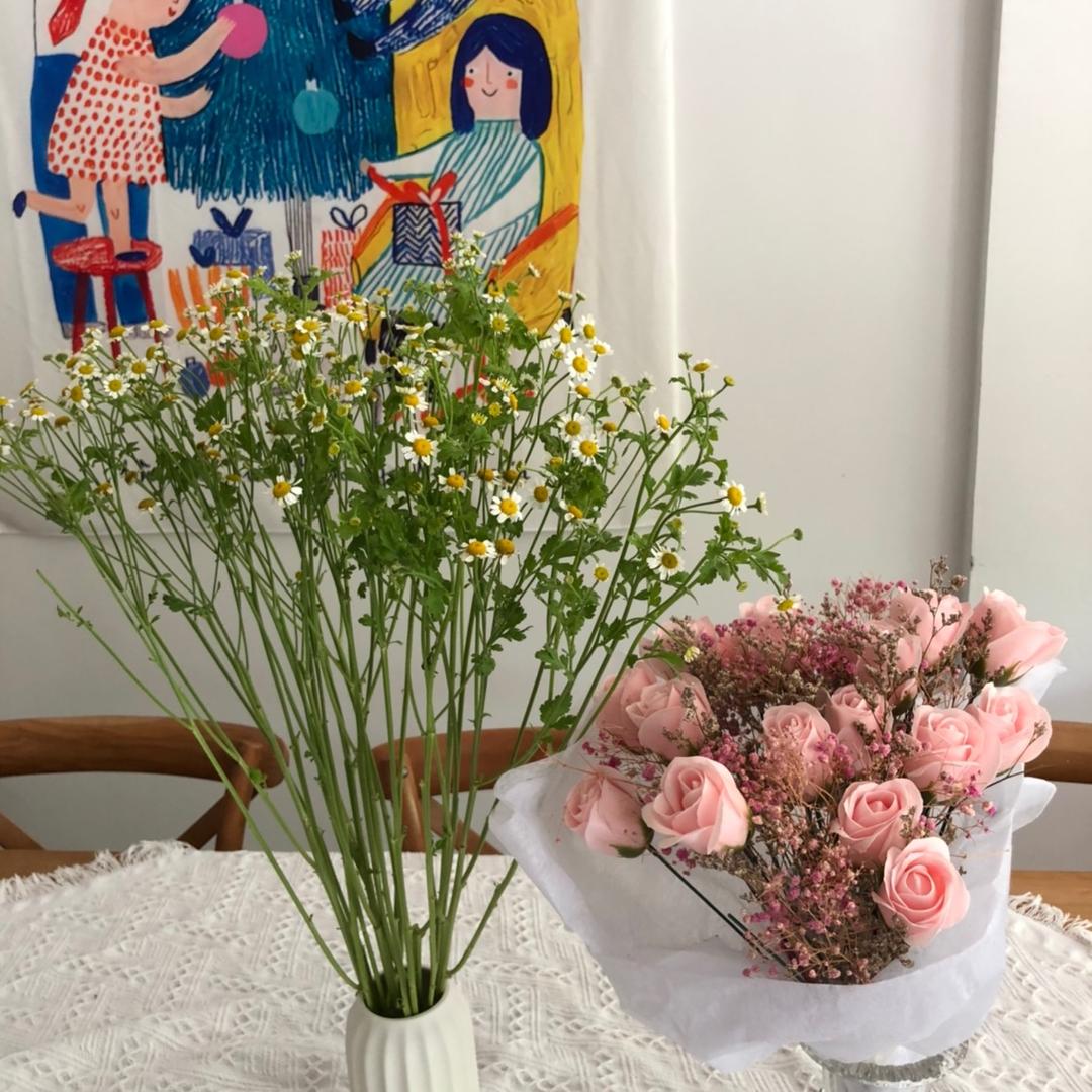 小甘菊