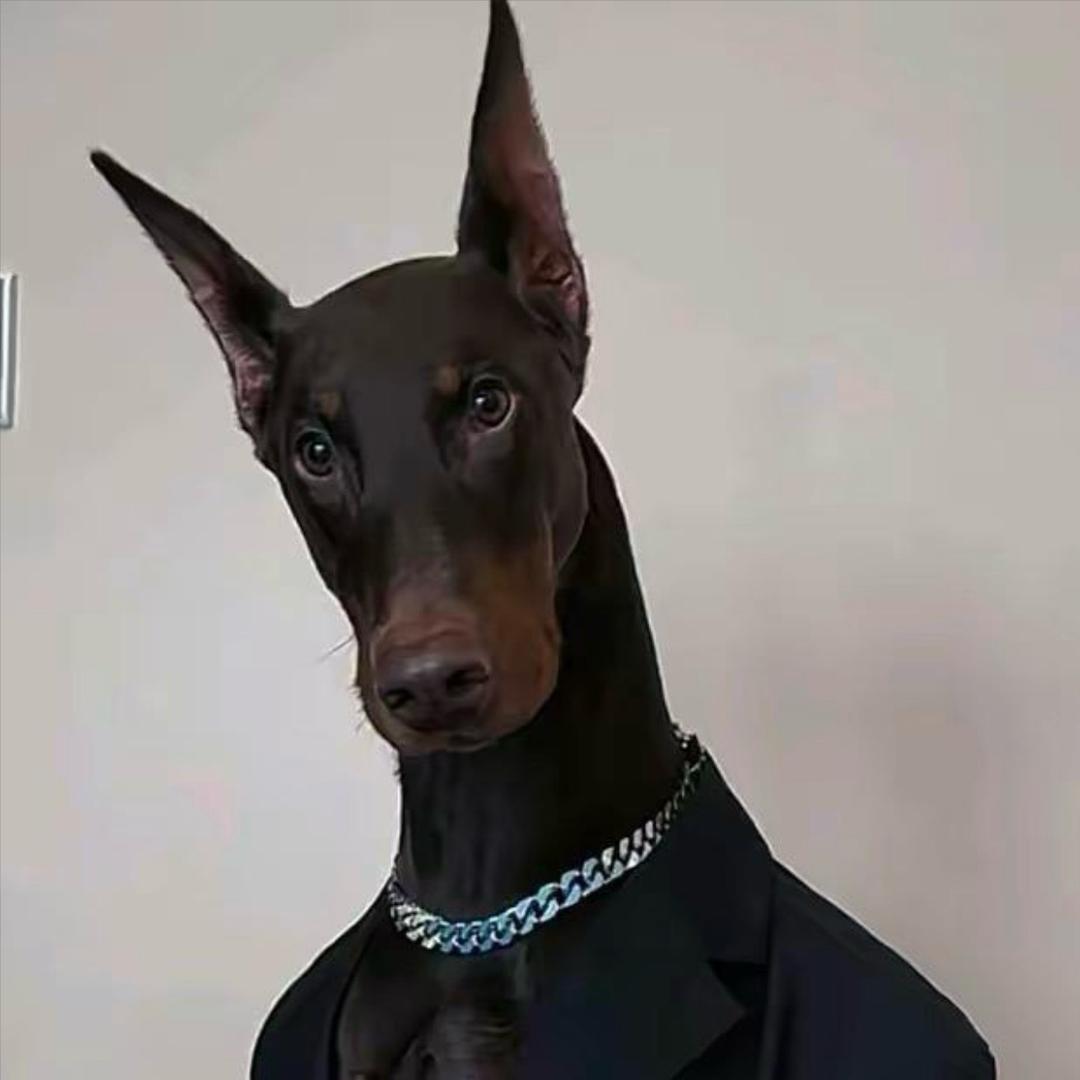 Gɴᴀɪᴊ.