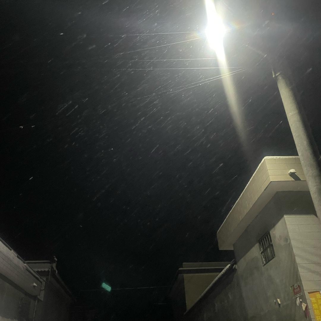 须尽欢
