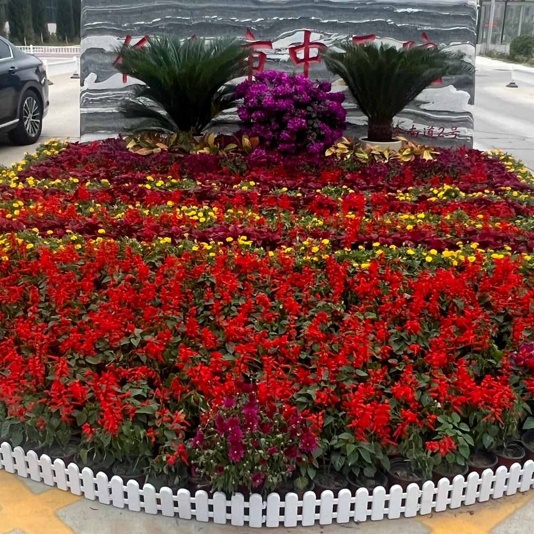 三个《baby》妈咪💐