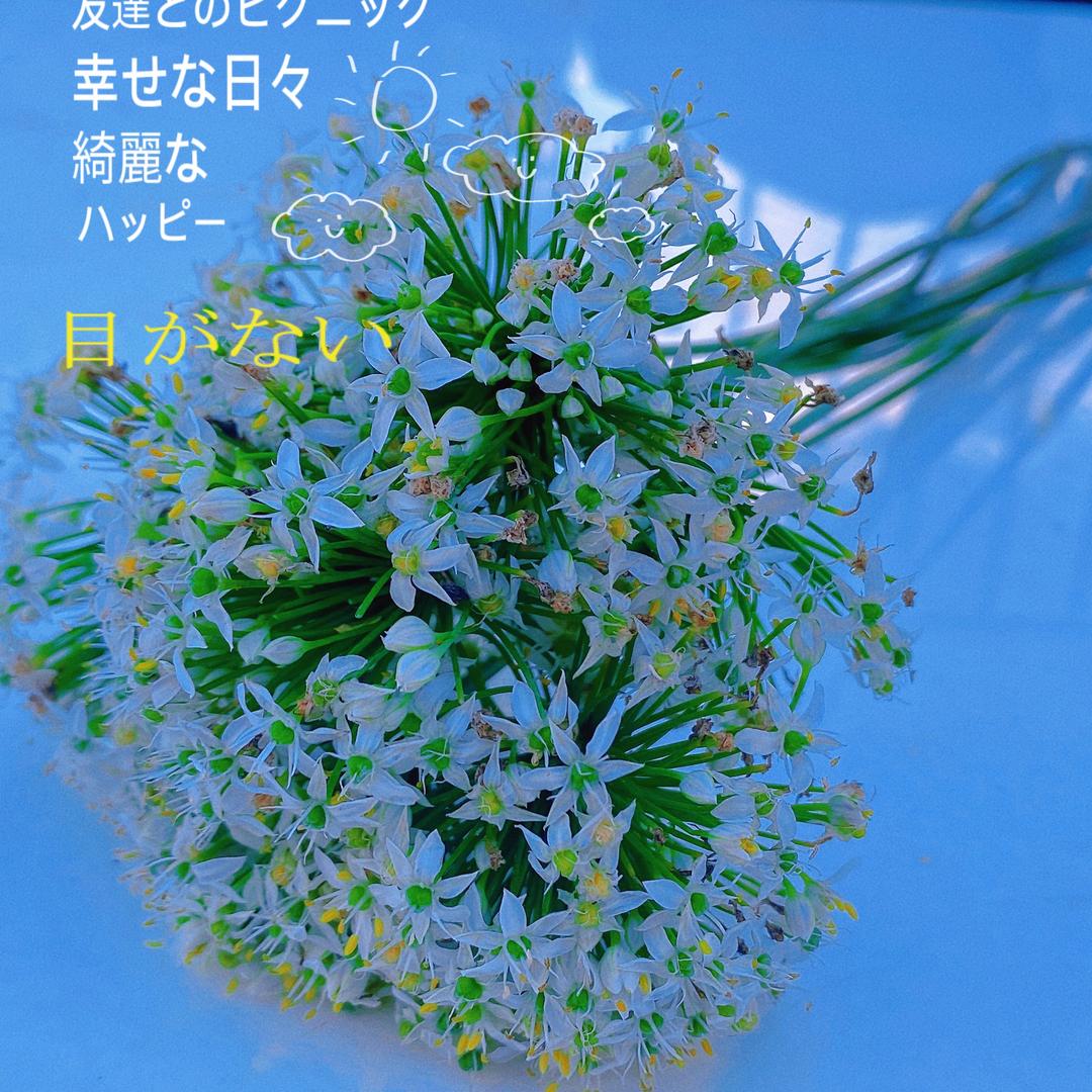 豆豆妈👩🏻