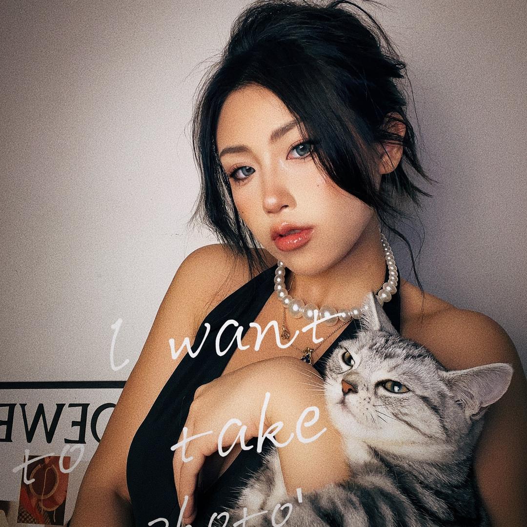 你家宝猪