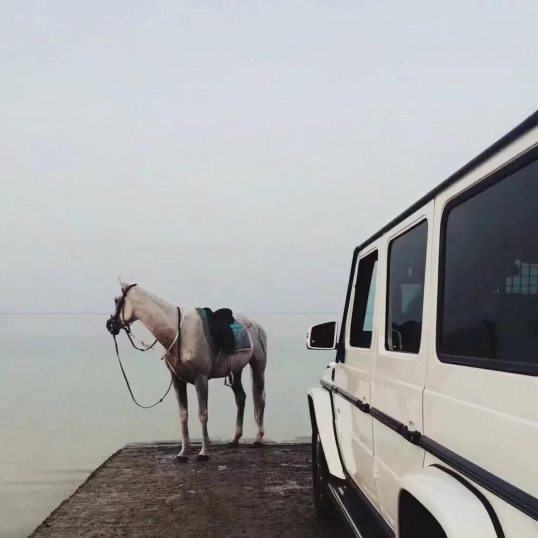 宁德程浩二手车