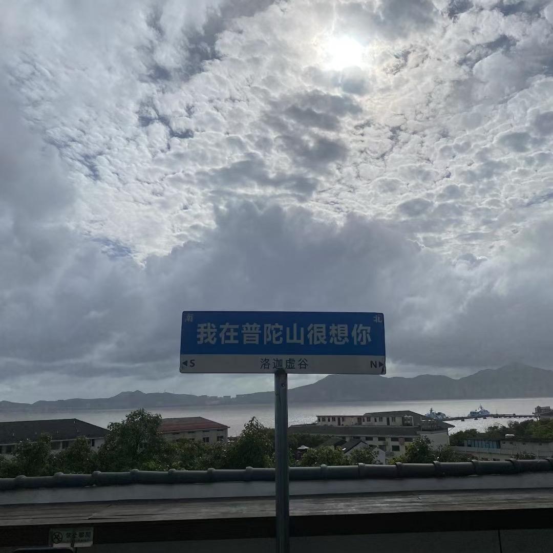随风去往彼岸