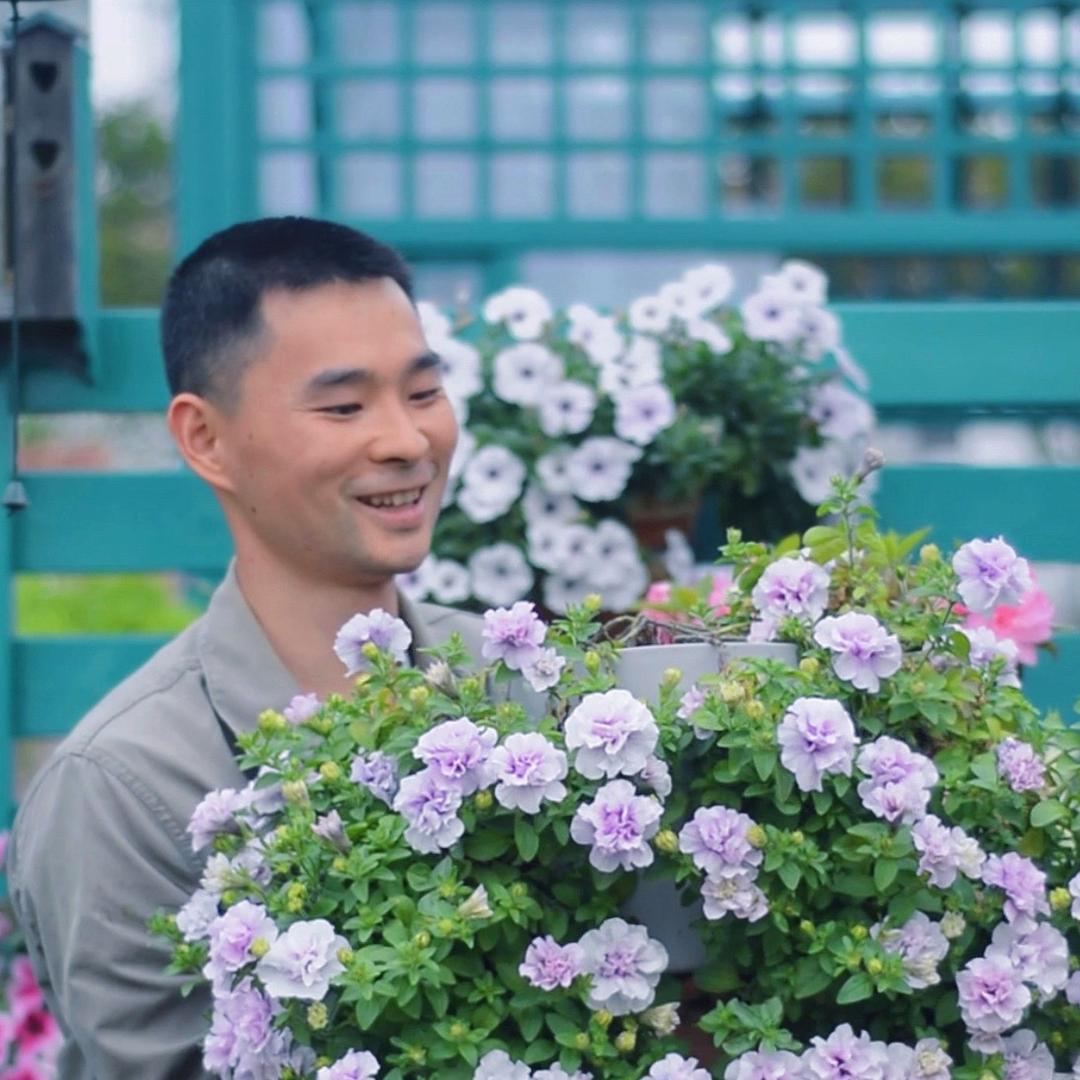 明星花园