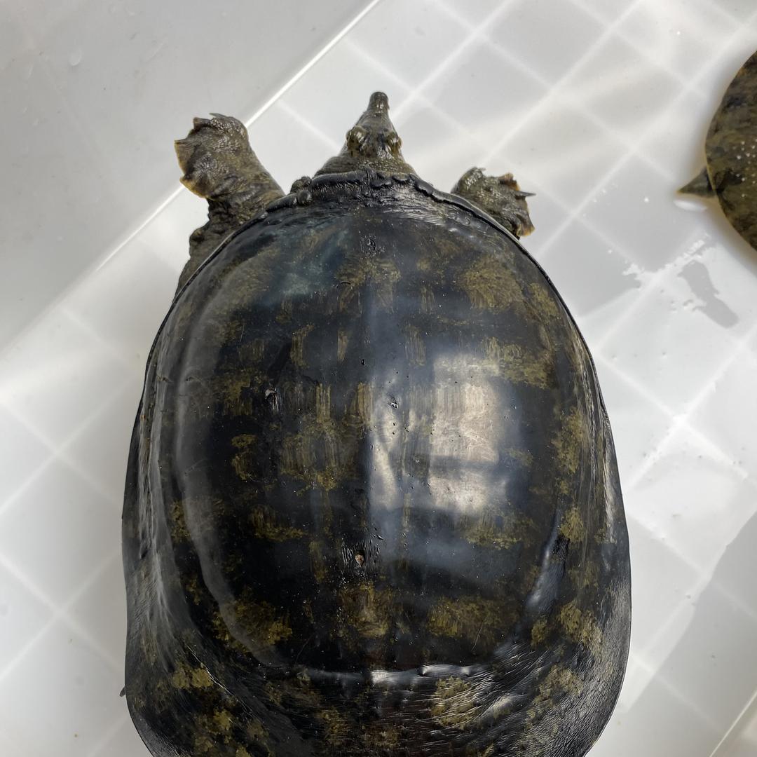 安乡县军哥水产商店的小店