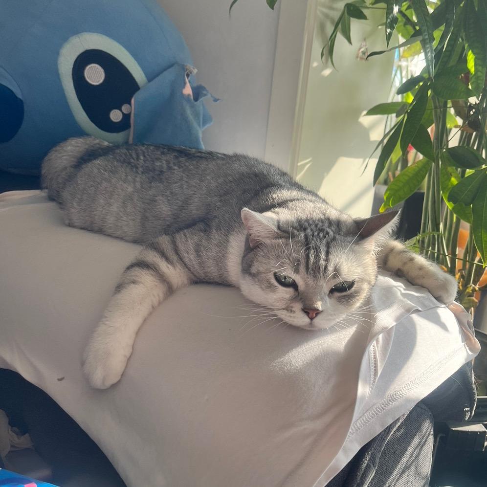 岁月静好JIA