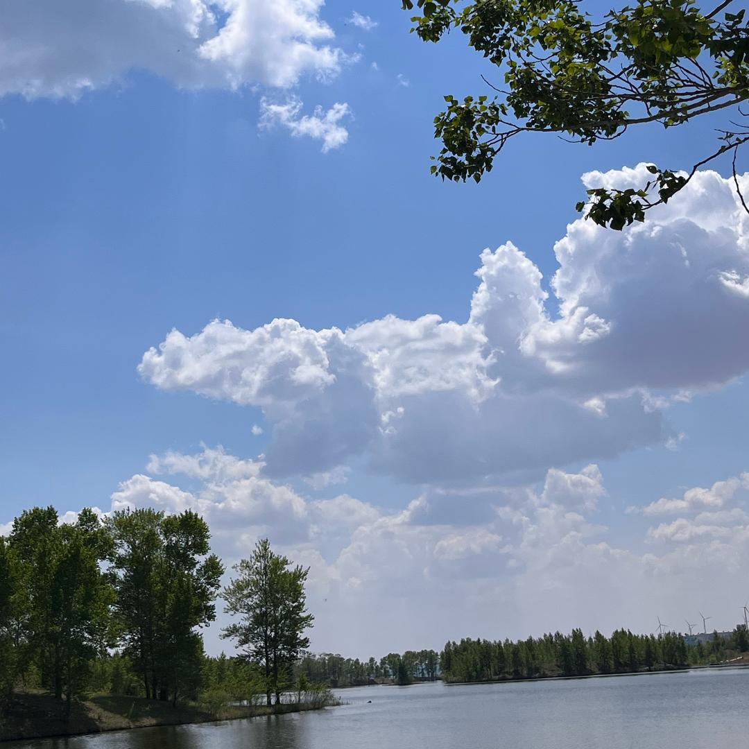 阿伟上岸教育规划